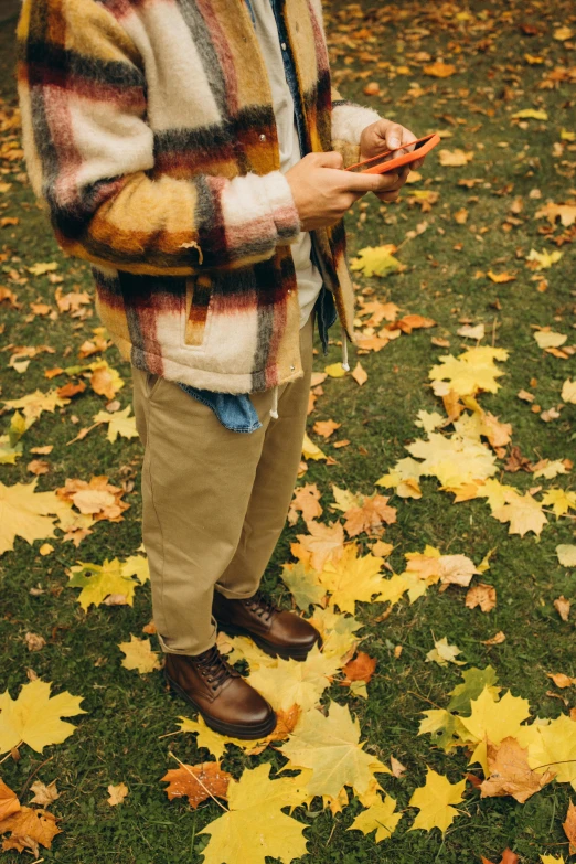 a man standing on top of a lush green field, an album cover, by Penelope Beaton, trending on pexels, fall leaves on the floor, looking at his phone, brown pants, multi - coloured