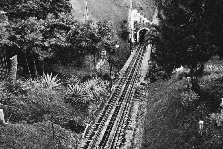 a black and white photo of a train going down the tracks, a black and white photo, art nouveau, las pozas, built on a steep hill, 1 9 4 8 photo