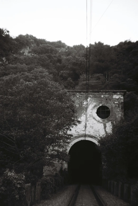 a black and white photo of a train coming out of a tunnel, by Altichiero, renaissance, overgrown with trees, entrance to 1900's mine, ( ( photograph ) ), torri gate