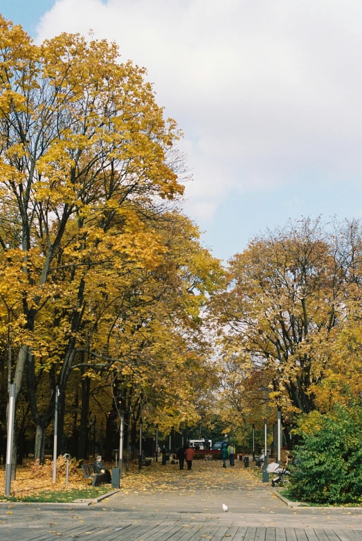a red fire hydrant sitting on the side of a road, inspired by Albert Paris Gütersloh, unsplash, autumn colour oak trees, panorama view, neo kyiv, long shot kodak portra 4 0 0