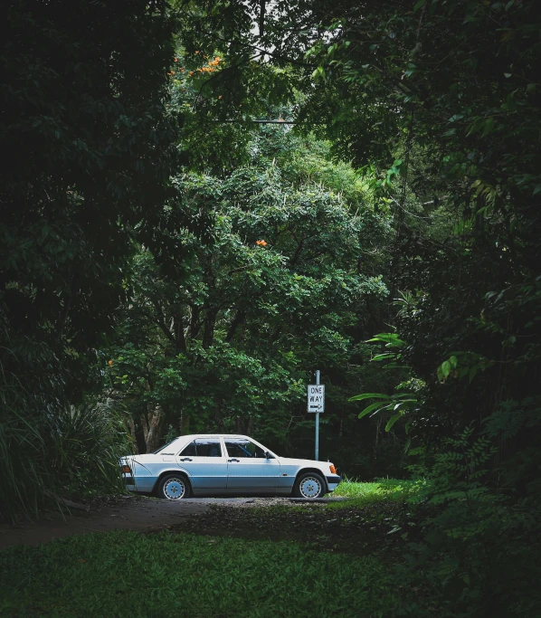 a car is parked on the side of the road, by Elsa Bleda, realism, lush rainforest, sydney park, low quality photo, fan favorite