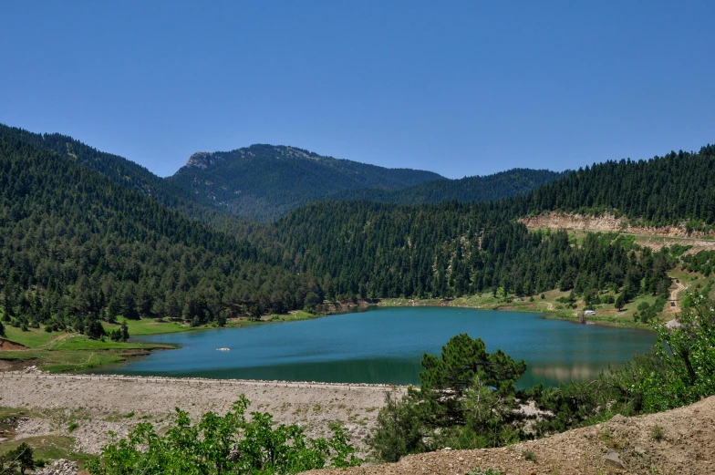 a large lake sitting in the middle of a forest