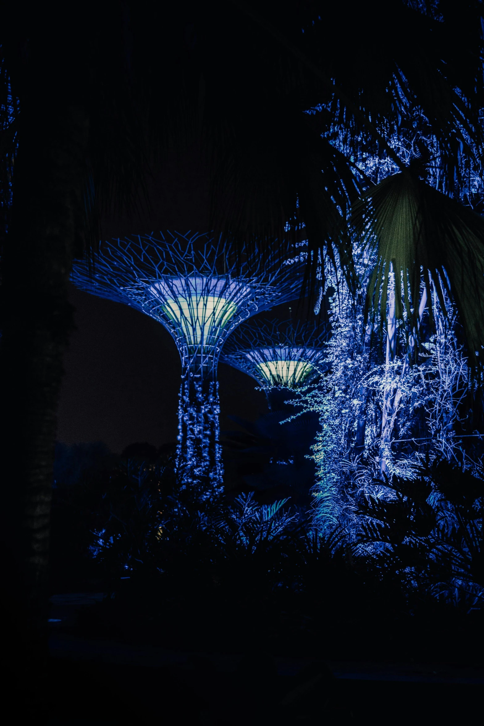 a couple of trees that are lit up in the dark, inspired by Bruce Munro, unsplash contest winner, singapore ( 2 0 1 8 ), shades of blue, next to some alien plants, biodome