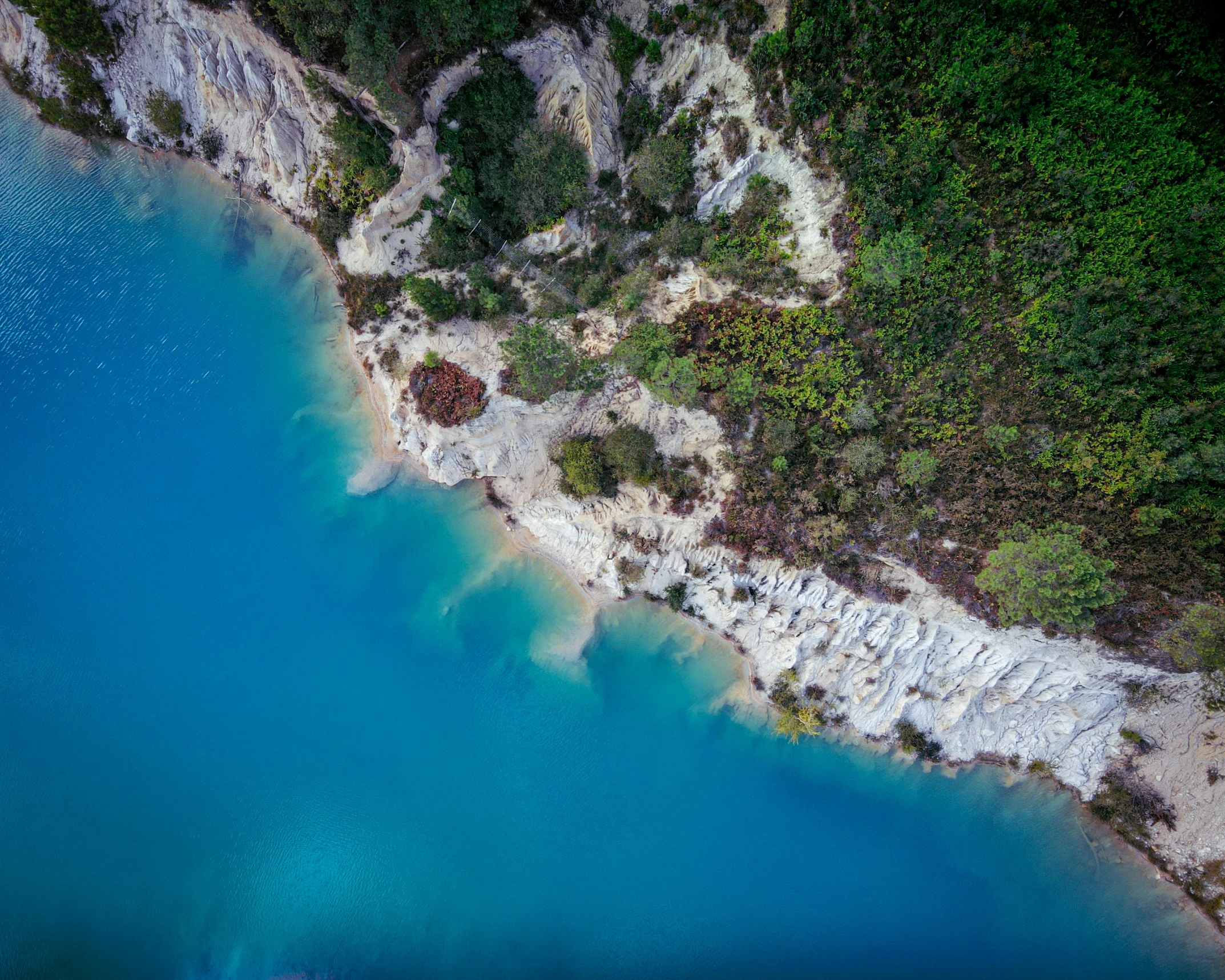 a large body of water surrounded by trees, pexels contest winner, chalk cliffs above, photogrammetry, picton blue, camera looking down upon