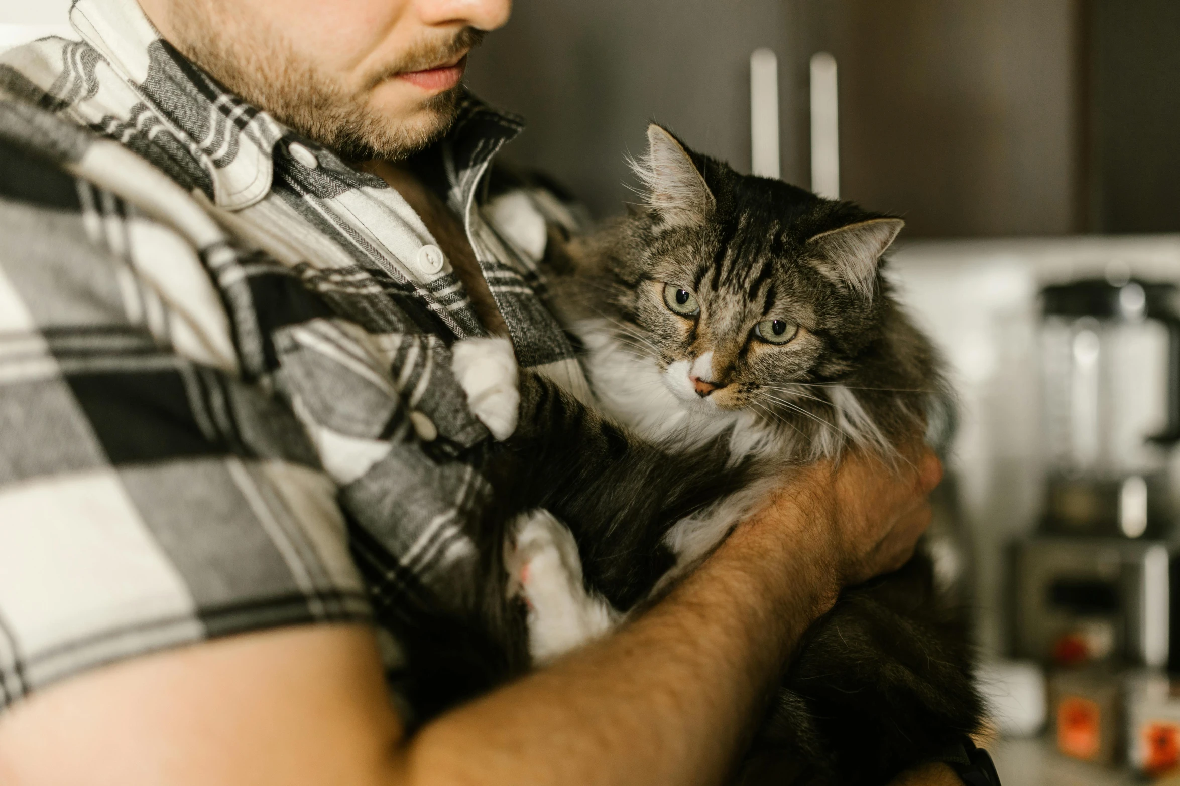 a man holding a cat in his arms, by Julia Pishtar, pexels, scruffy looking, local conspirologist, gif, at home