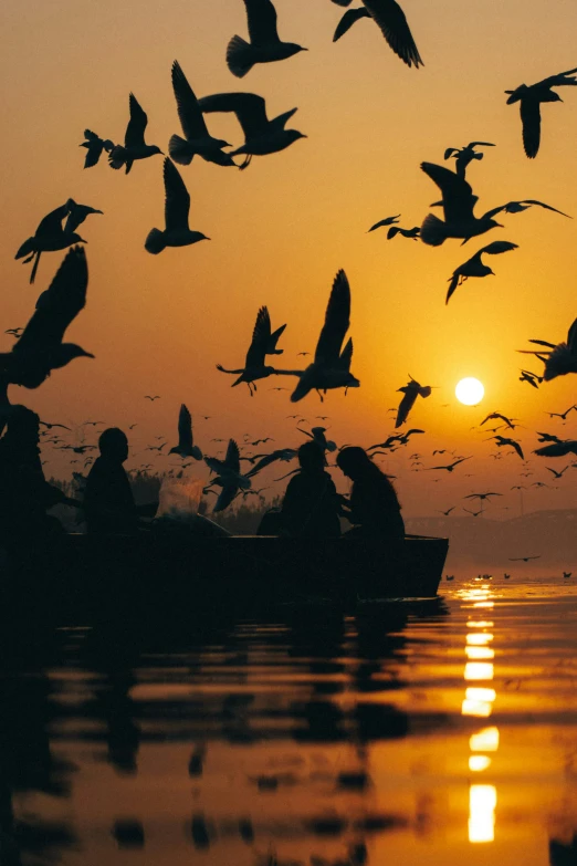 a flock of birds flying over a body of water, inspired by Steve McCurry, pexels contest winner, romanticism, boat, india, low sun, nat geo