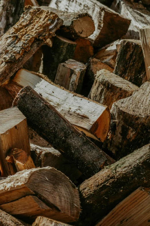 a pile of wood sitting next to a pile of logs, profile image, rectangle, vanilla, small