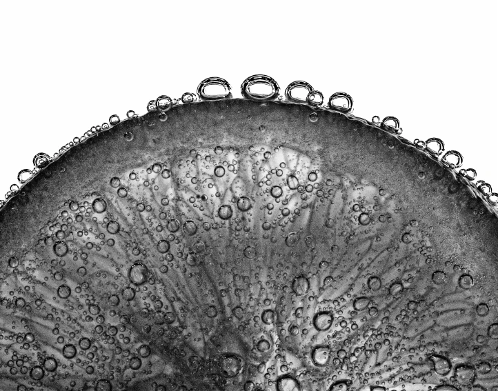 a black and white photo of a slice of lemon, inspired by Otto Piene, kinetic pointillism, dew drops, organic liquid metal, circle iris detailed structure, gelatin silver process photo