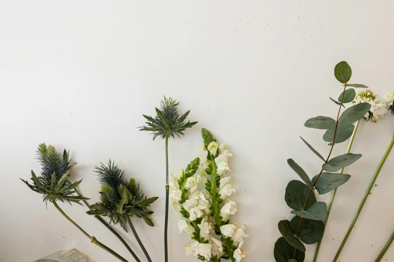 a bunch of flowers sitting on top of a table, inspired by Eden Box, unsplash, assemblage, green and white, props containing trees, white backdrop, thistles