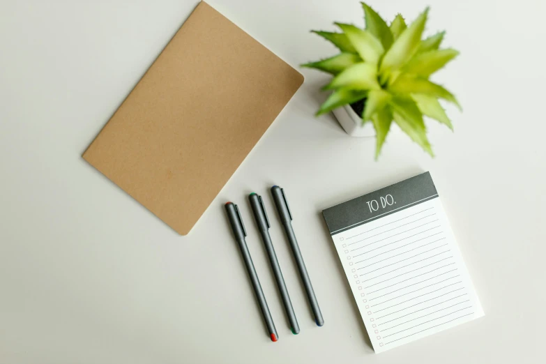 a notepad sitting on top of a desk next to a plant, various items, thumbnail, brown, black marker
