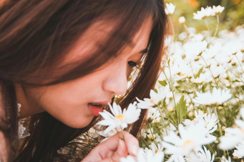 a woman smelling a flower in a field of daisies, pexels contest winner, aestheticism, detailed face of a asian girl, profile image, avatar image, girl with brown hair