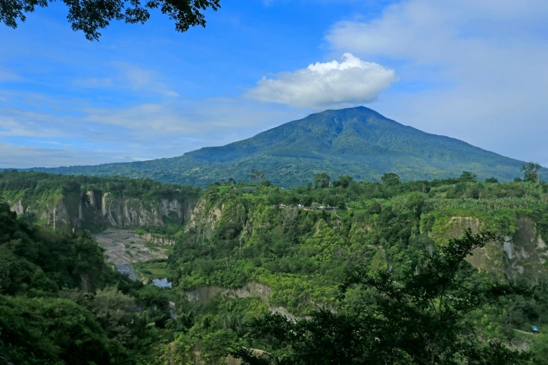 a large mountain sits above a forested valley