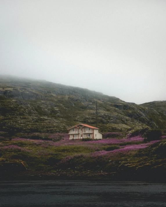 a house in the middle of purple flowers