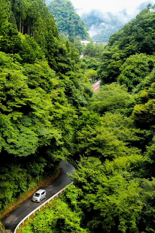 view from above, showing the top of two roads through the trees in the mountains