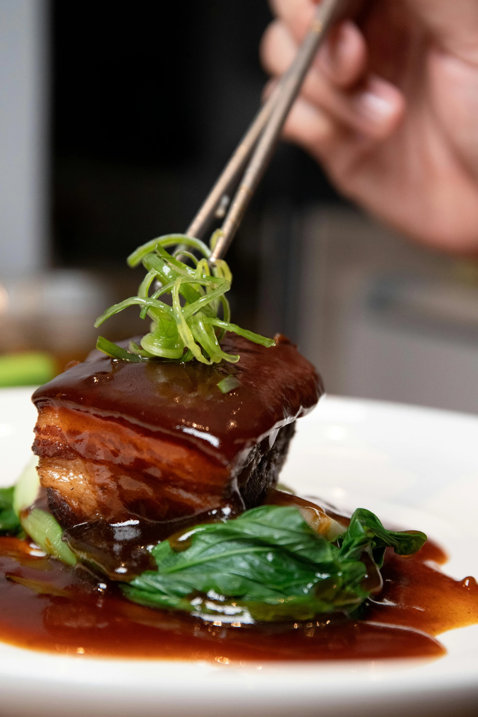 a close up of a plate of food with chopsticks, elegant up to the elbow, glazed, square, decadent