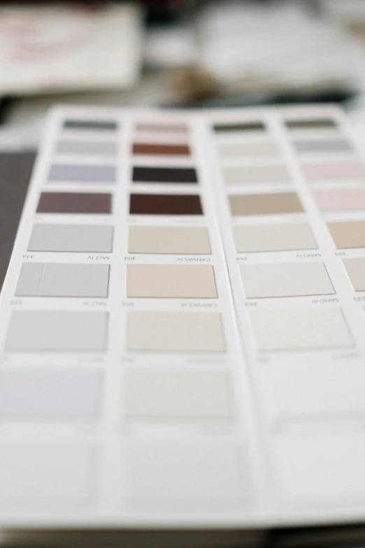 a table that has a bunch of color samples on it, a picture, unsplash, bauhaus, made in tones of white and grey, muted brown, performance, white panels