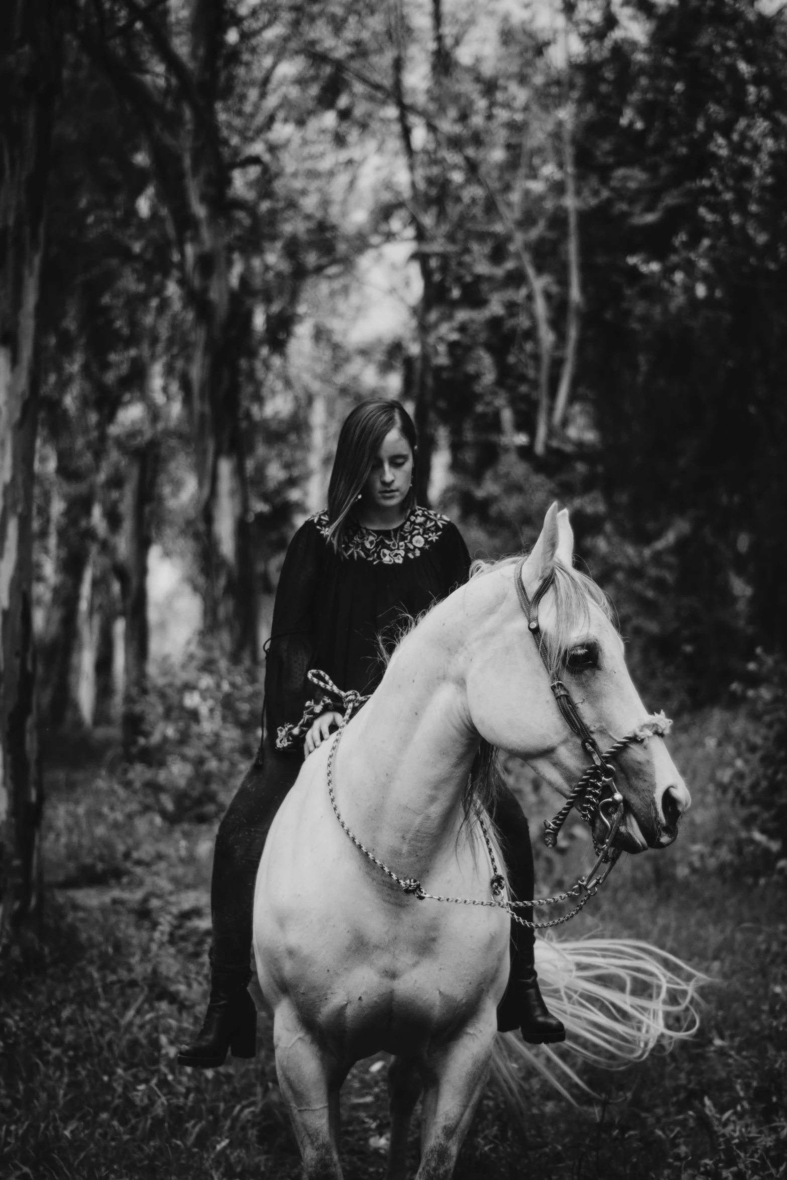 a woman riding on the back of a white horse, a black and white photo, by Lucia Peka, renaissance, dark forest. strong, 🤠 using a 🖥, oldwest, ((portrait))