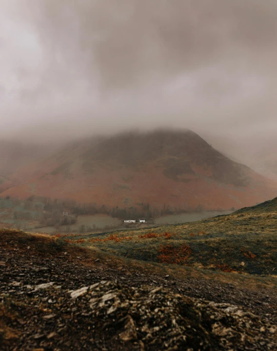 the mountains are covered in dense fog as the animals roam