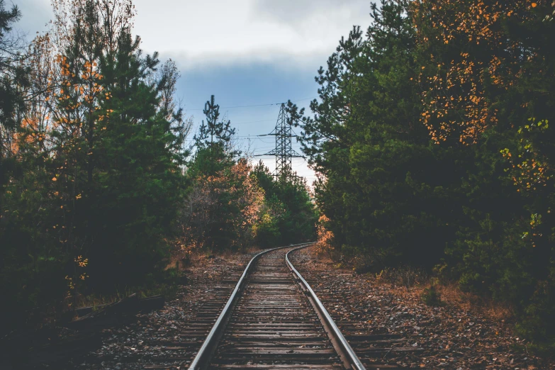 a train track in the middle of a forest, an album cover, unsplash, profile picture 1024px, vintage vibe, 🚿🗝📝