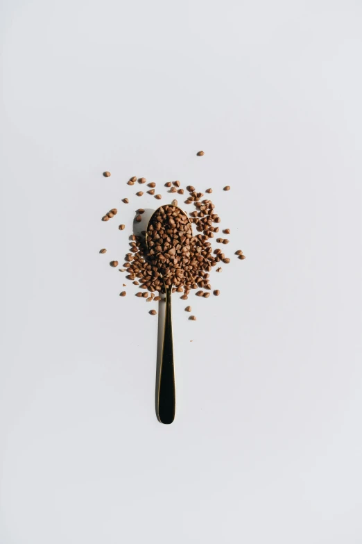 a spoon filled with seeds on top of a white surface, a digital rendering, by Andries Stock, unsplash, copper, valerian, medium height, 4l