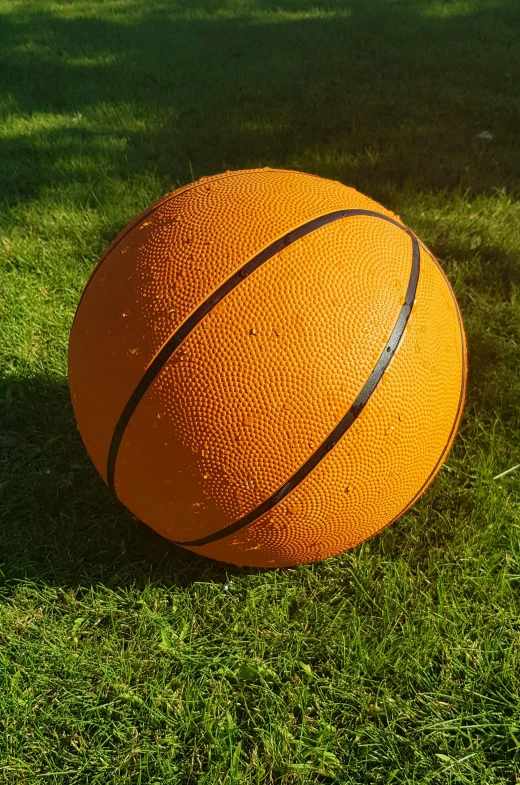 an orange basketball sitting on top of a lush green field, in the sun, made of rubber, aged 2 5, round-cropped