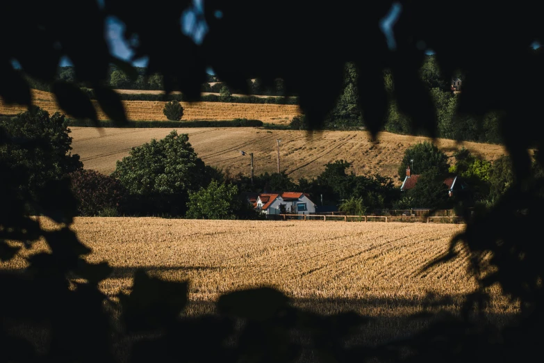 a house that is in the middle of a field, a tilt shift photo, pexels contest winner, brown stubble, next to farm fields and trees, madgwick, summer sunlight