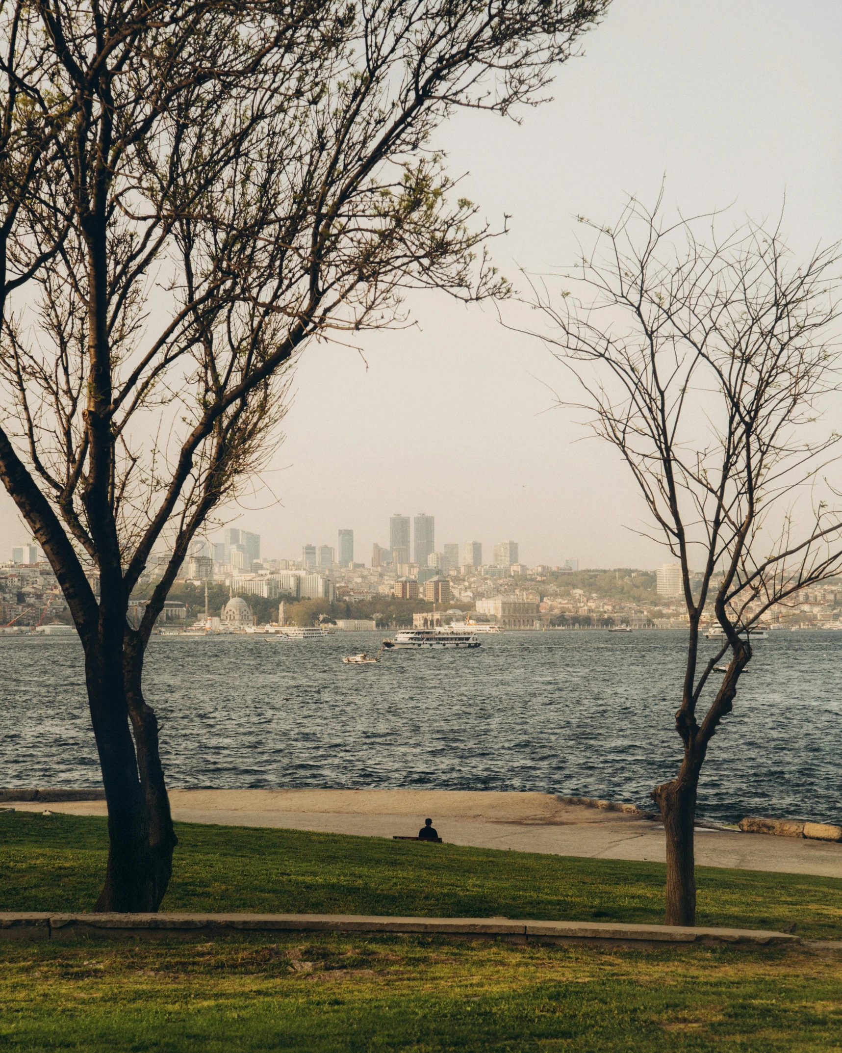 a couple of trees sitting next to a body of water, pexels contest winner, hurufiyya, grass field surrounding the city, fallout style istanbul, the non-binary deity of spring, slight haze