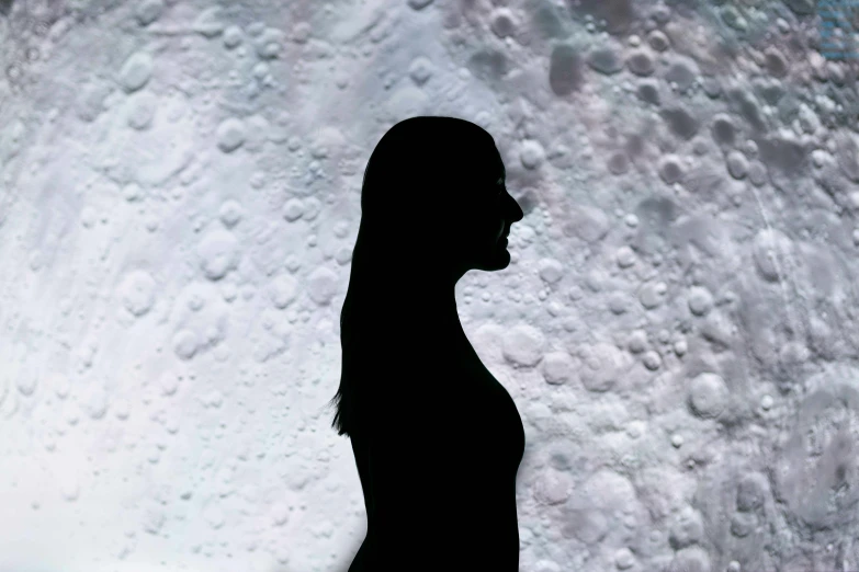 a silhouette of a woman standing in front of a wall, inspired by Vija Celmins, unsplash, conceptual art, on the surface of the moon, realistic photo from nasa, wax figure, profile pic