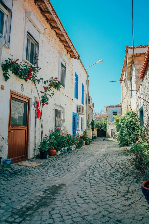 small cobble stone street in front of white brick houses