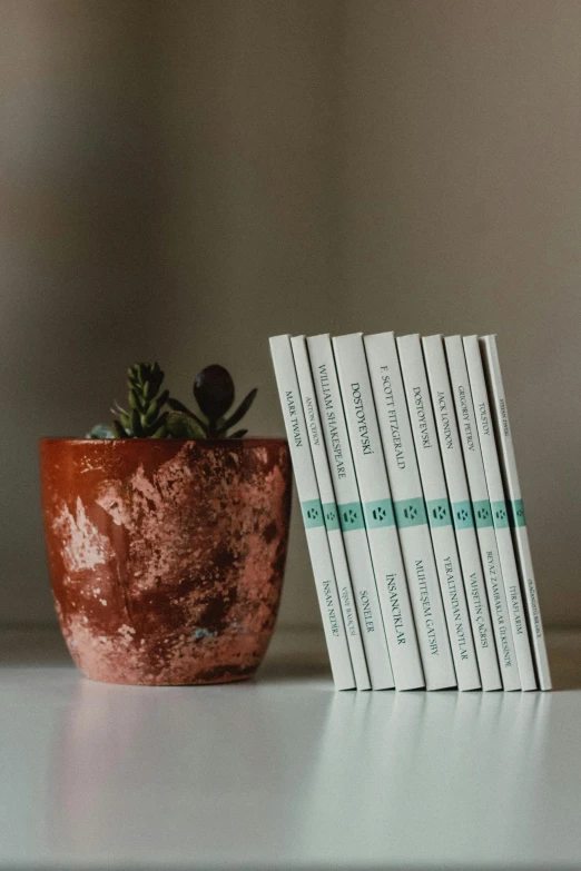 a stack of books sitting on top of a table next to a plant, copper oxide and rust materials, detailed product shot, celadon glaze, detailed product image