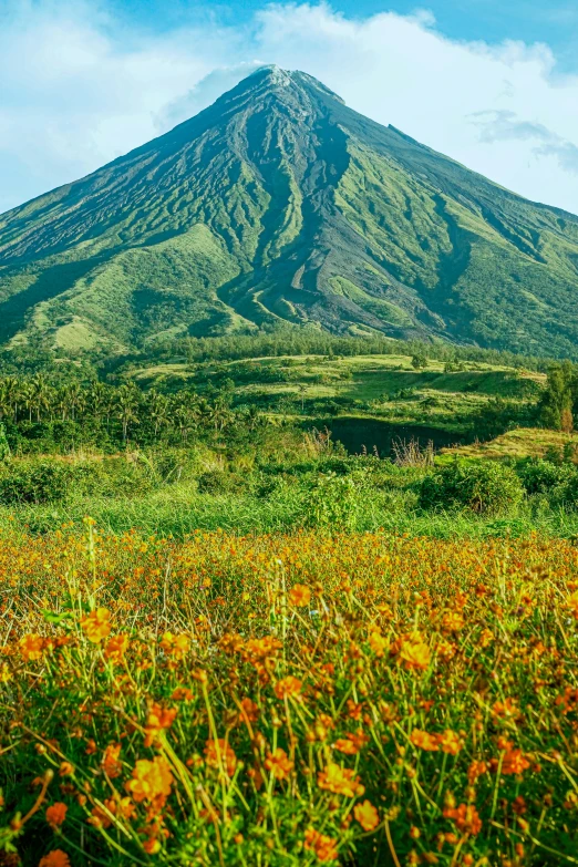 this is the base of an active volcano in a field with flowers