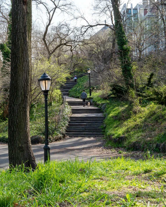 a street light in the middle of a park, trending on reddit, long winding stairs going down, new york city, the non-binary deity of spring, landscape photo