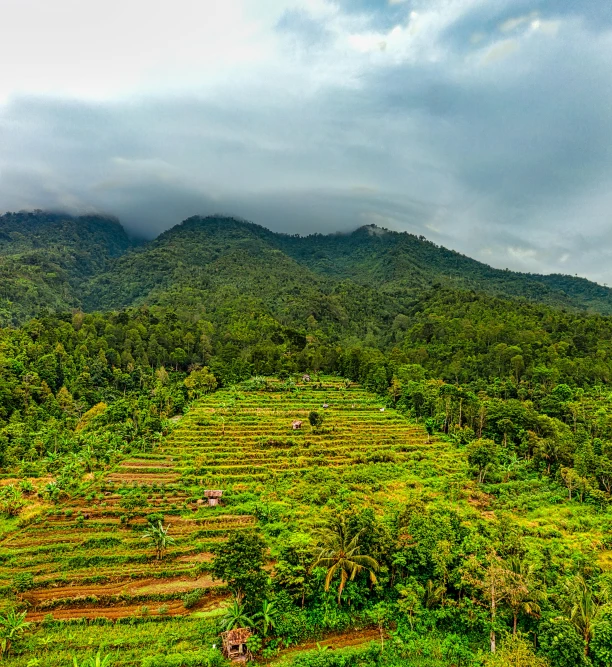 a lush green field with a mountain in the background, sumatraism, bird\'s eye view, slide show, roofed forest, multiple stories