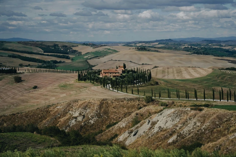 a hill with several trees and hills in the distance