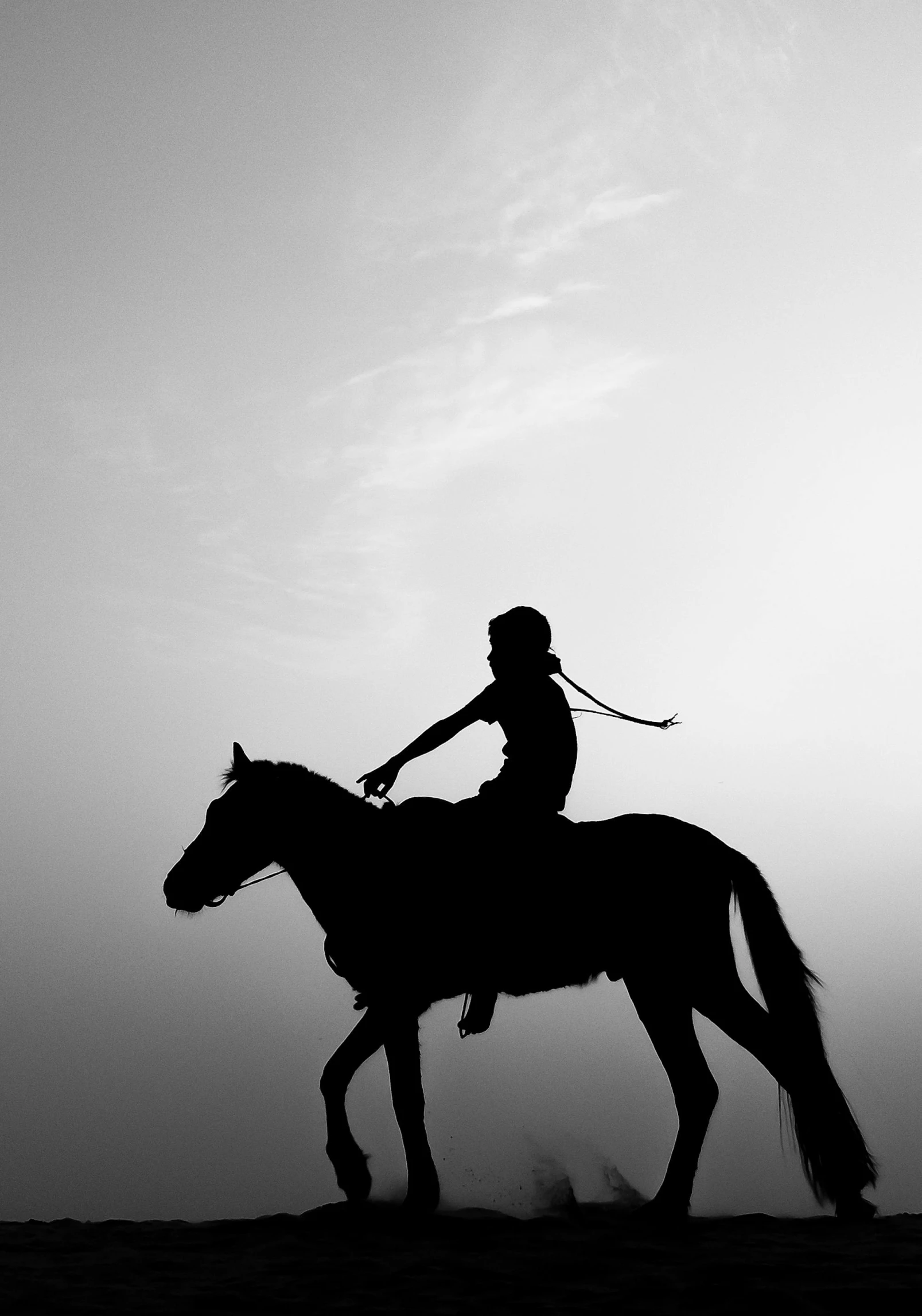 a person riding on the back of a horse, a black and white photo, pexels contest winner, conceptual art, in a sunset haze, white sky, arabian beauty, fine art print