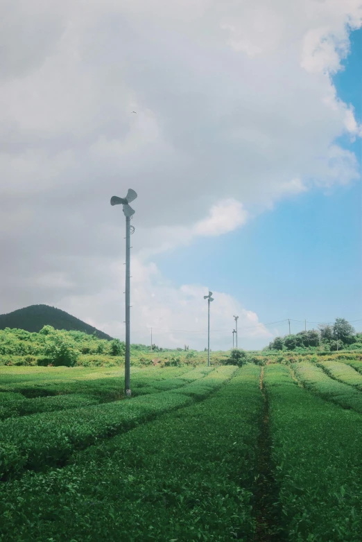 a field full of green plants under a cloudy sky, an album cover, by Yasushi Sugiyama, unsplash, land art, assam tea village background, turbines, taiwan, photo taken on fujifilm superia