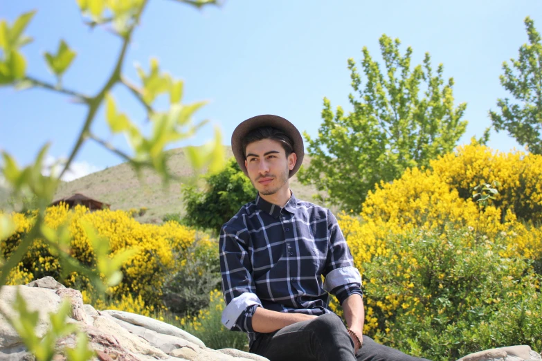 a man sitting on rocks in the grass with trees and bushes