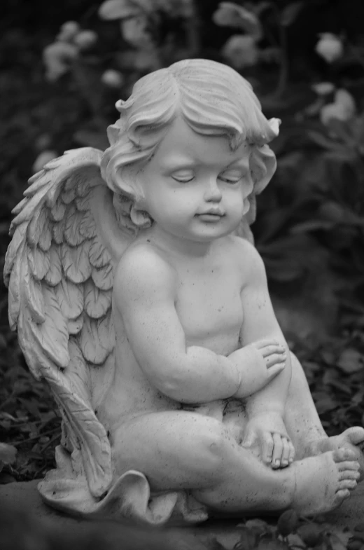 a black and white photo of a statue of an angel, pixabay contest winner, bashful expression, putti, sitting in the garden, rip