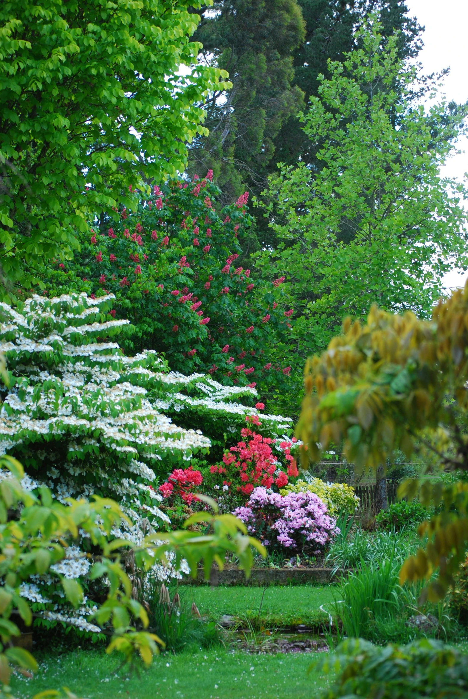 a bench sitting in the middle of a lush green park, red and white flowers, lush evergreen forest, flame shrubs, slide show