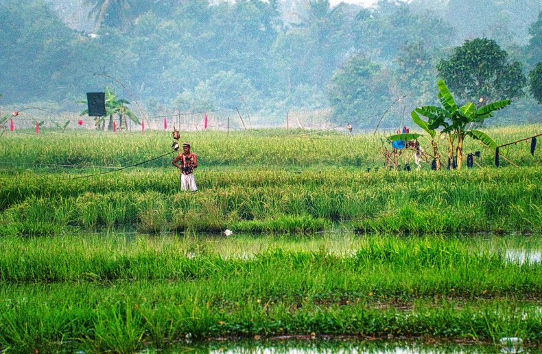 a group of people standing on top of a lush green field, by Sudip Roy, flickr, people angling at the edge, with kerala motifs, rice paddies, marsh