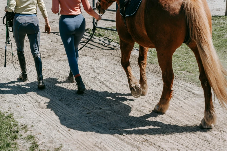 a couple of women walking a horse down a dirt road, trending on pexels, large thighs, in an arena pit, thumbnail, “ iron bark