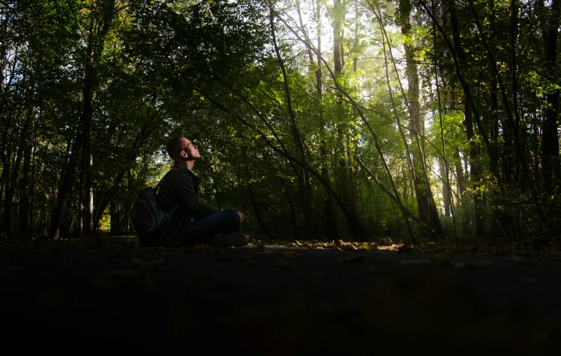a person sitting in the middle of a forest, in the shadows, avatar image, nature photo