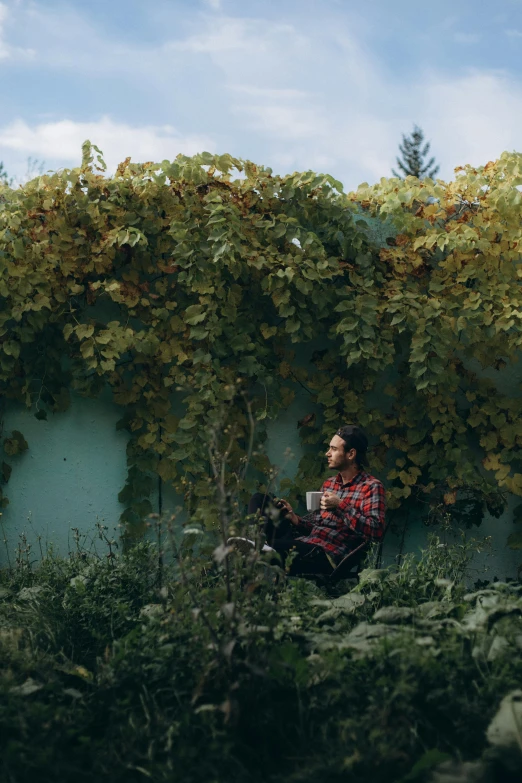 a man sits on a bench under a tree