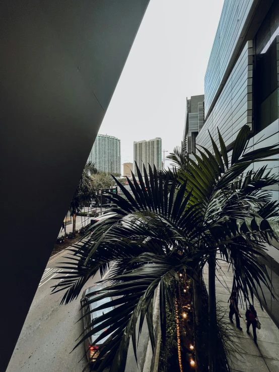 an indoor area of an office building with plants