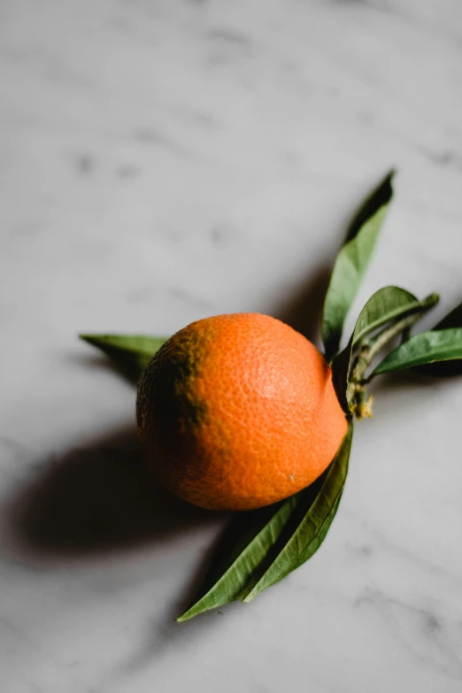 an orange sitting on top of a marble counter, by Carey Morris, trending on pexels, renaissance, greens), vanilla, organics, portrait of small