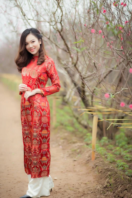 a woman in a red dress standing on a dirt road, inspired by Tang Di, happening, brocade dress, vietnam, square, 8 k )