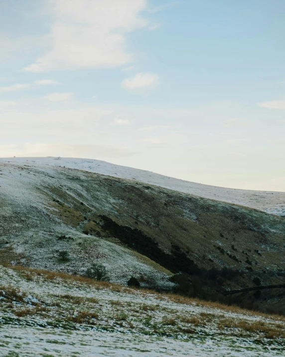 the animals is standing on a hill in the snow