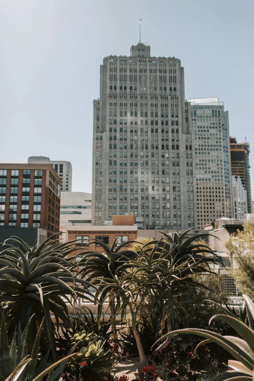 a view of skyscrs from the ground level in the city