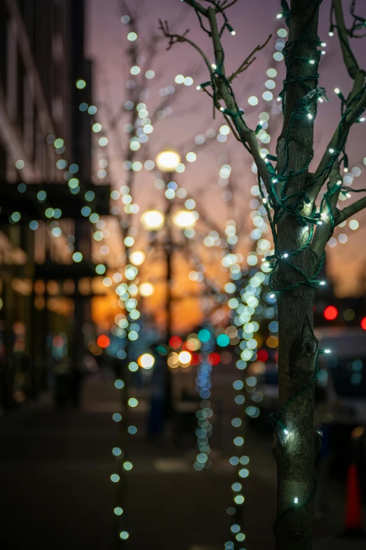 street lights and trees with blurry traffic in the background