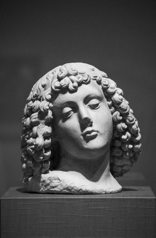a black and white photo of a woman's head, by Andrea del Verrocchio, flickr, mannerism, young greek man, wig, collection of louvre, clay model